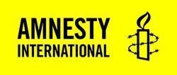 Sakkunniga inom mänskliga rättigheter till Amnesty International Sverige