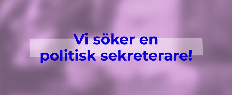 Vikarierande politisk sekreterare