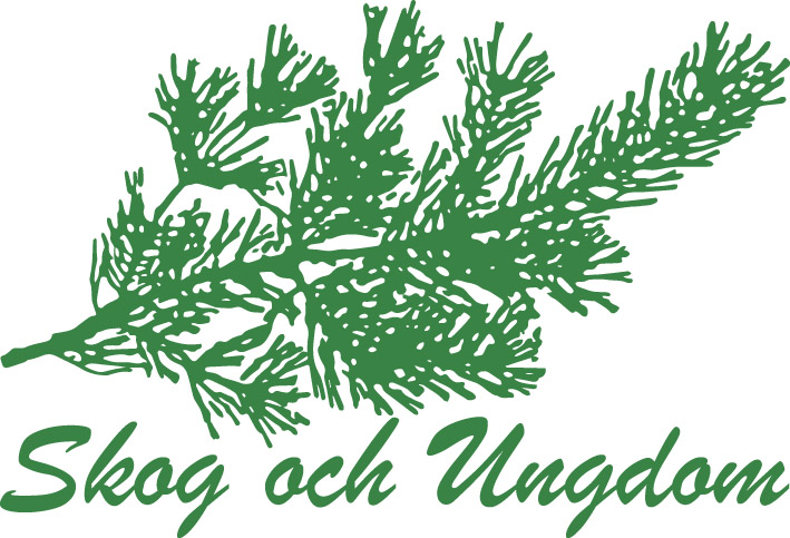 Verksamhetsutvecklare hos Skog och Ungdom