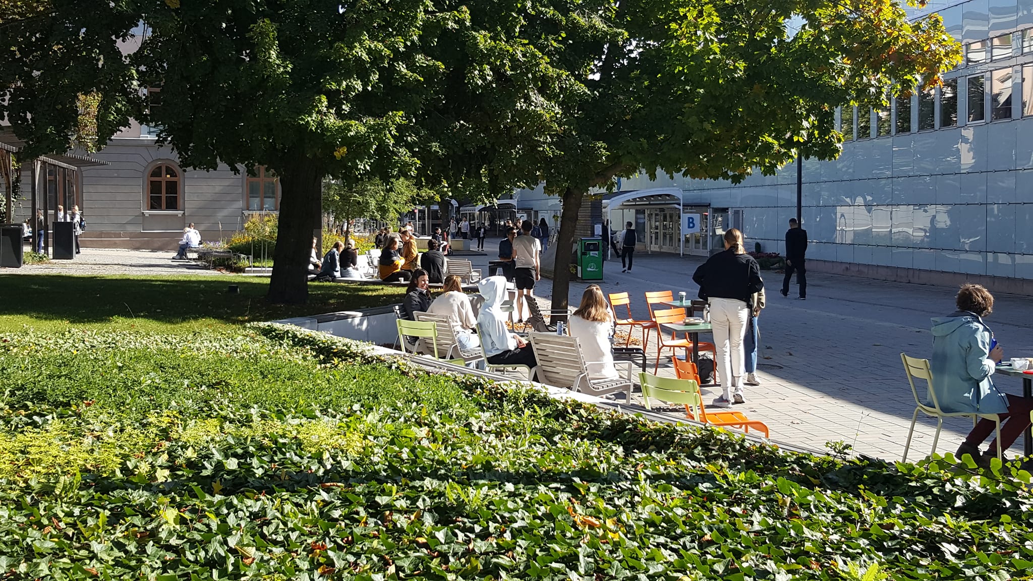 Teamledare för medlemsservice