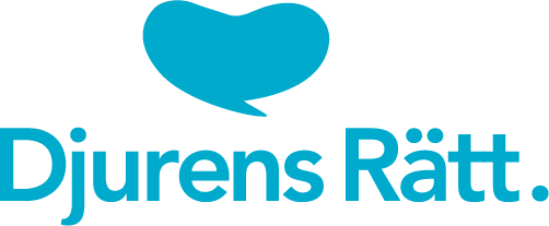 CRM-utvecklare