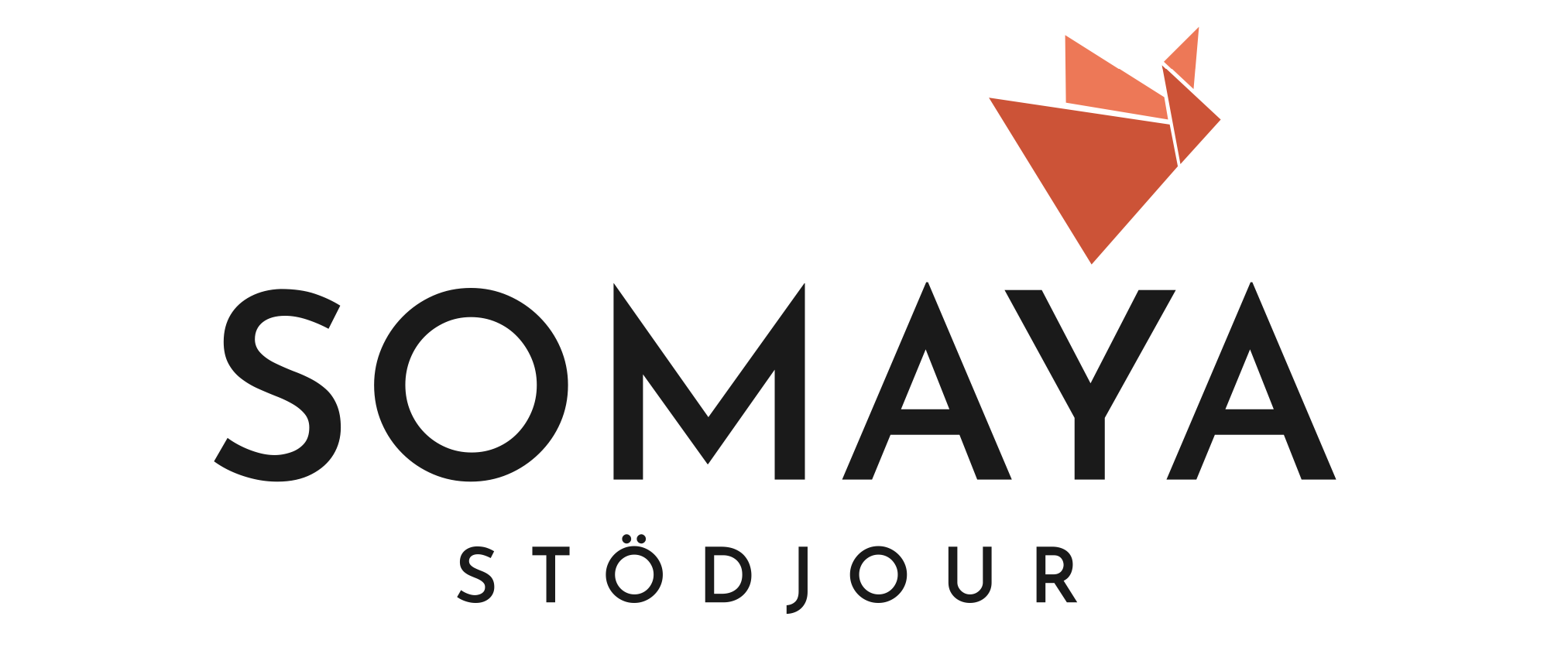 Erfaren och flerspråkig kontaktperson/kurator