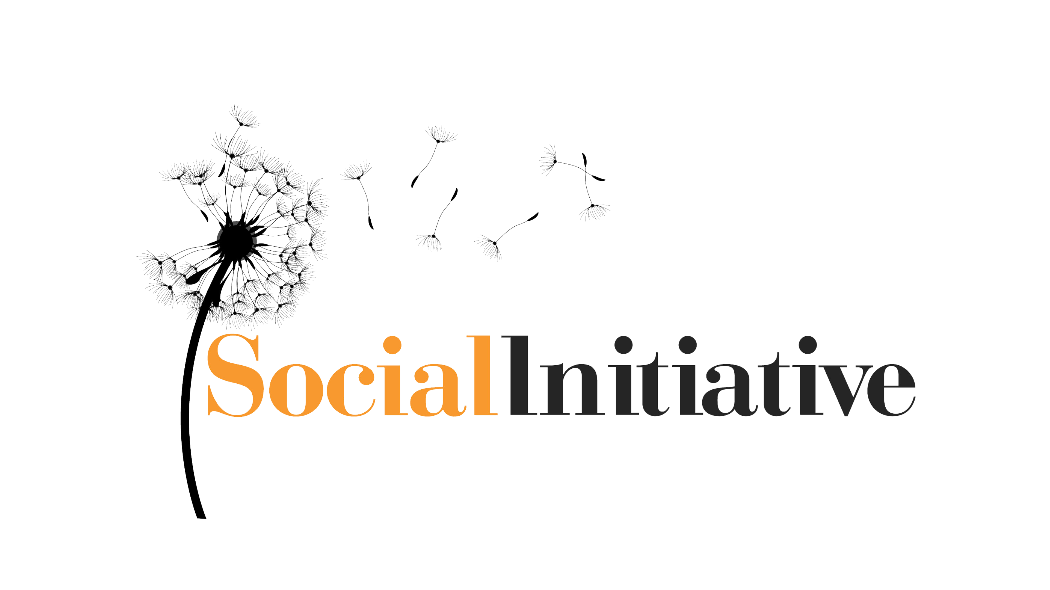 Social Initiative söker en Programme Manager