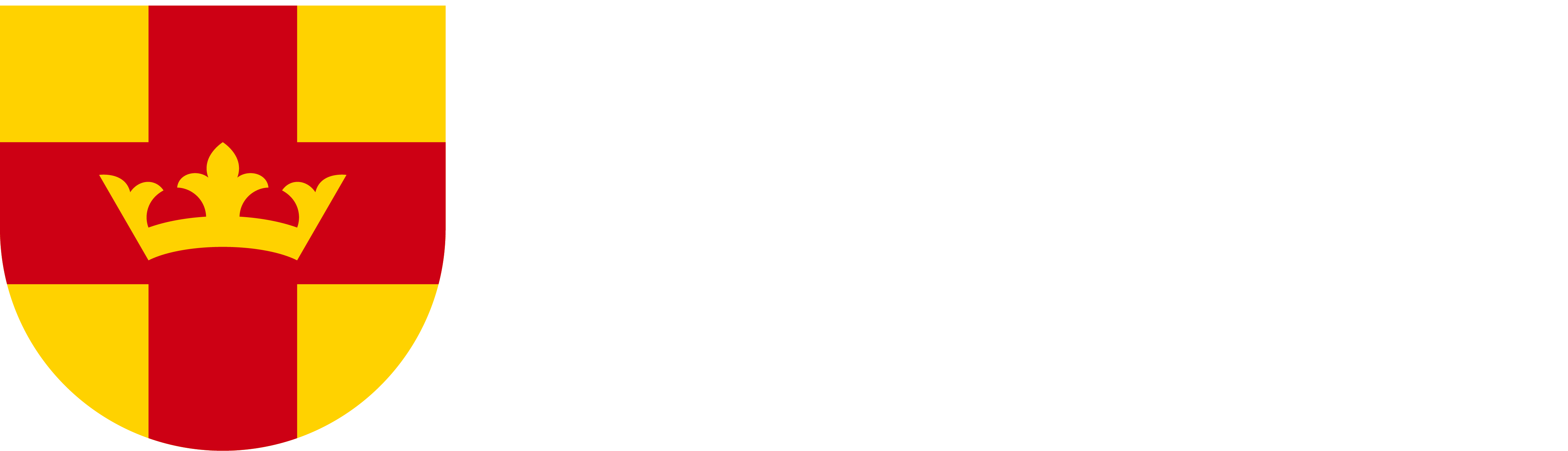 Enhetschef policydialog