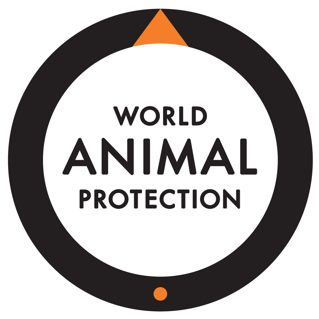 Insamlingsansvarig Nya Givare till World Animal Protection Sverige