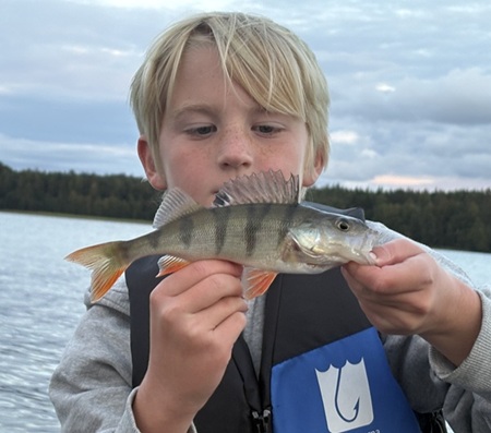 Föreningsansvarig